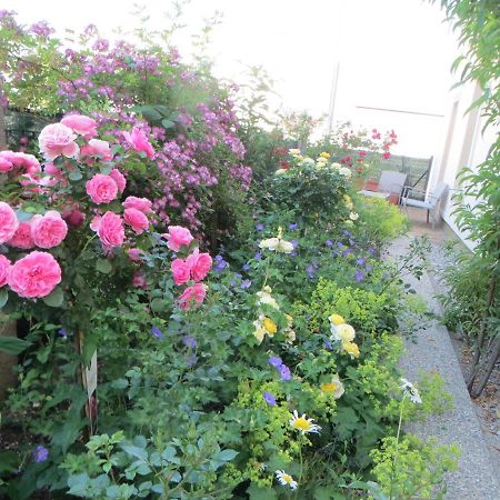 Premium City Apartment Amadeus Salzburgo Exterior foto